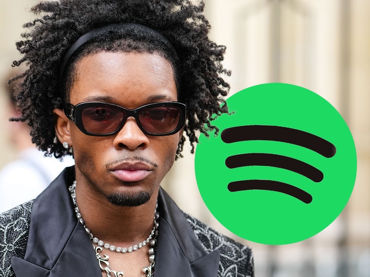 dv4d spotify getty