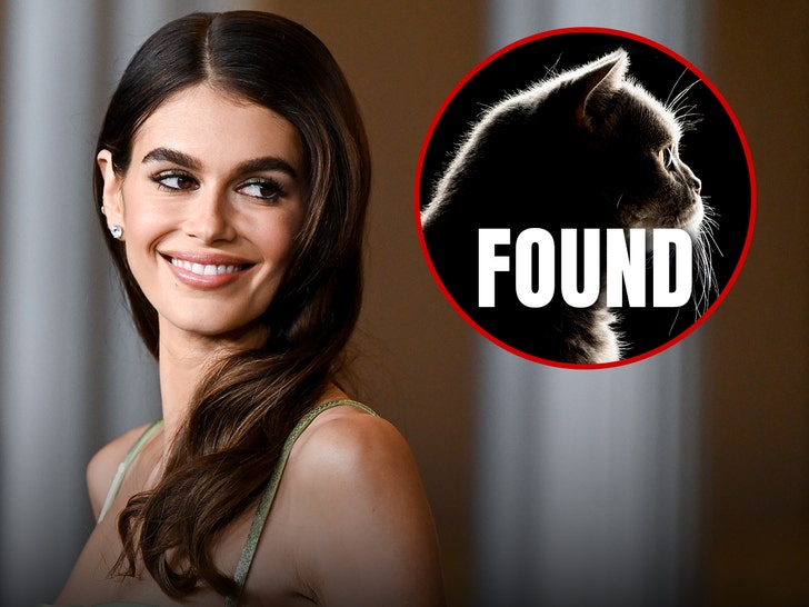 kaia gerber found cat getty 1