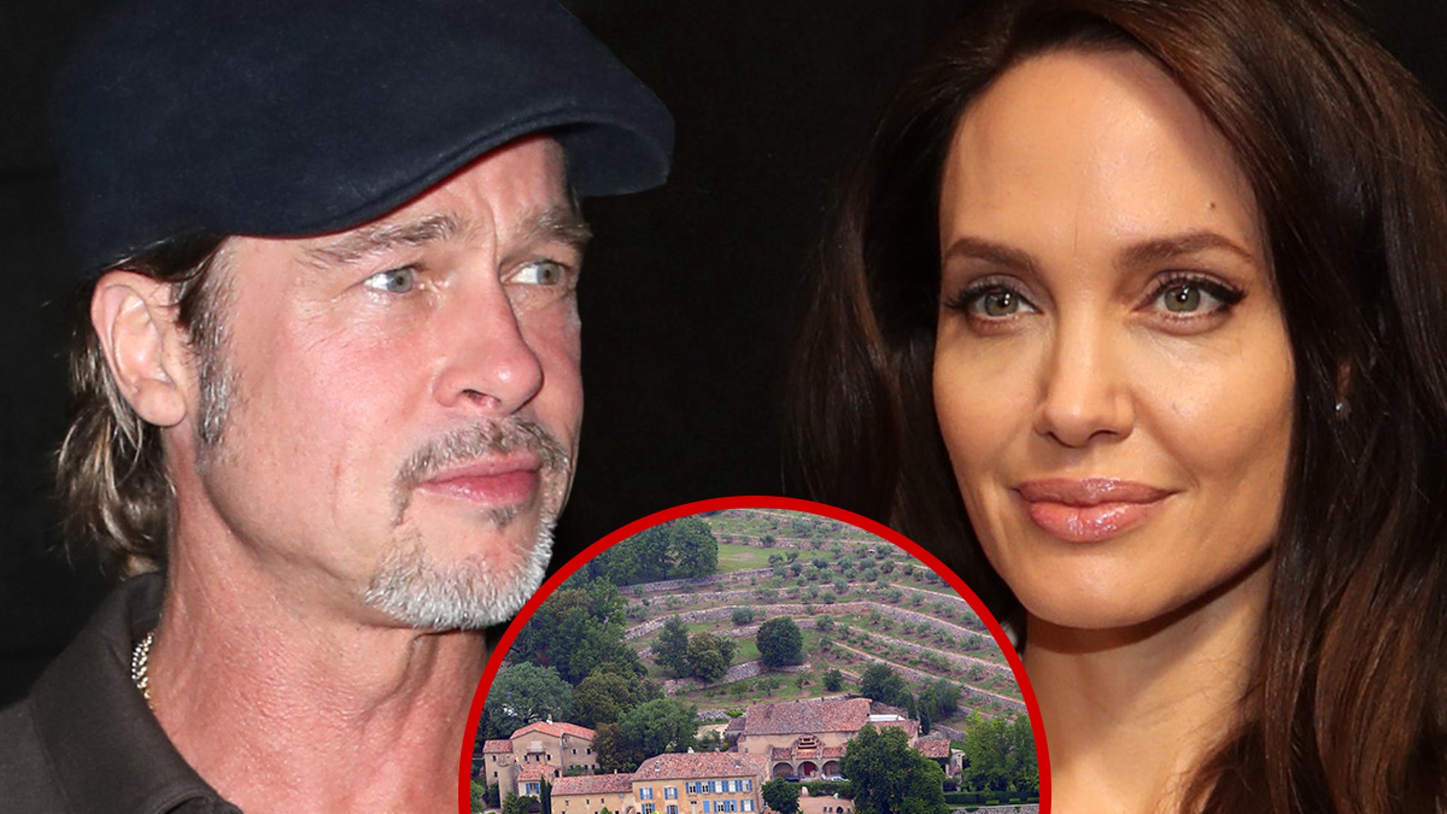 Brad Pitt sued in vineyard case and allegedly made it a personal piggy bank
