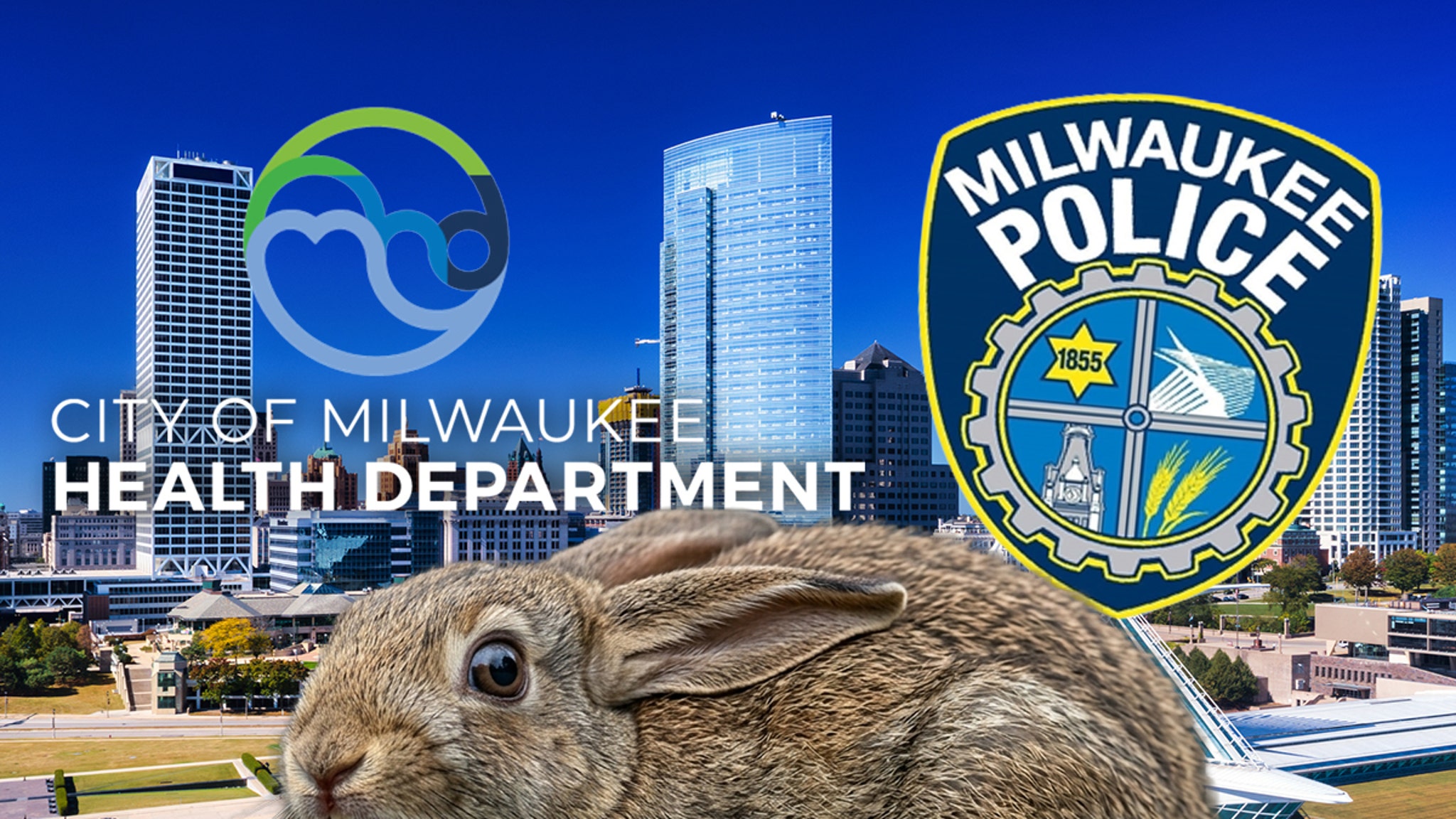 Milwaukee Man Allegedly Chomps Bunny on Sidewalk, Internet Explodes!