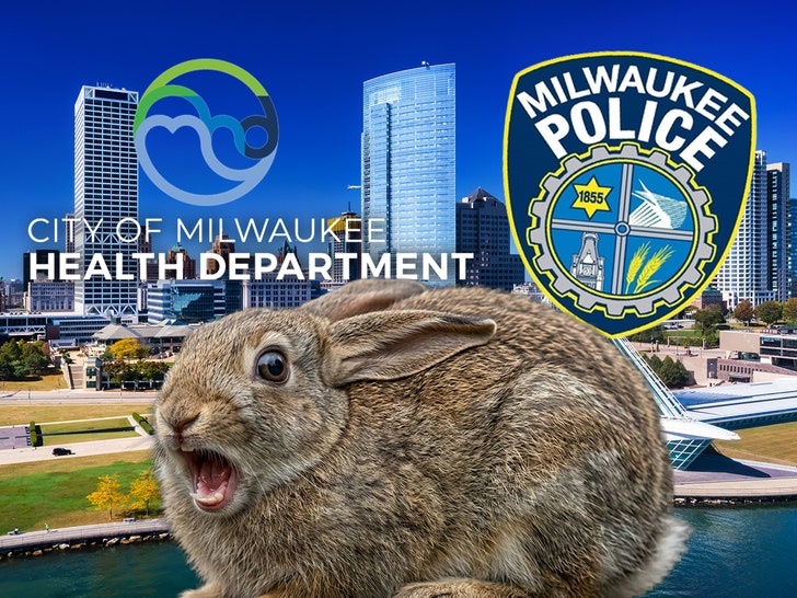 Milwaukee health dept bunny getty comp