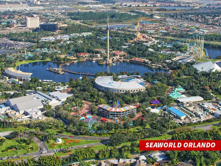 Mako at seaworld Orlando getty 4