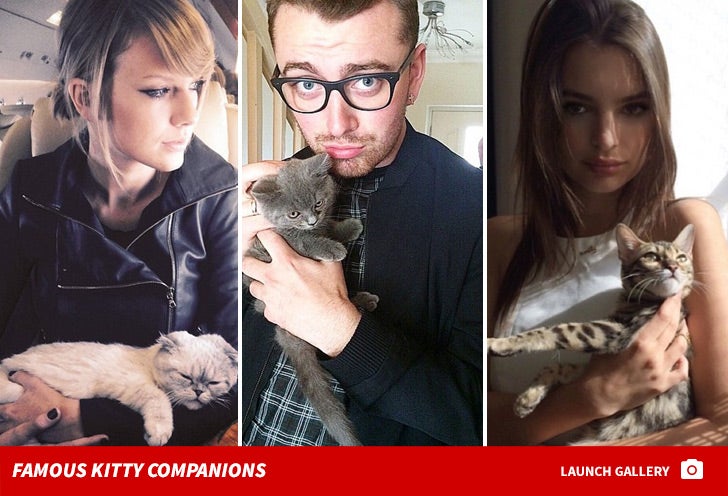 Celebrities and Their Feline Friends