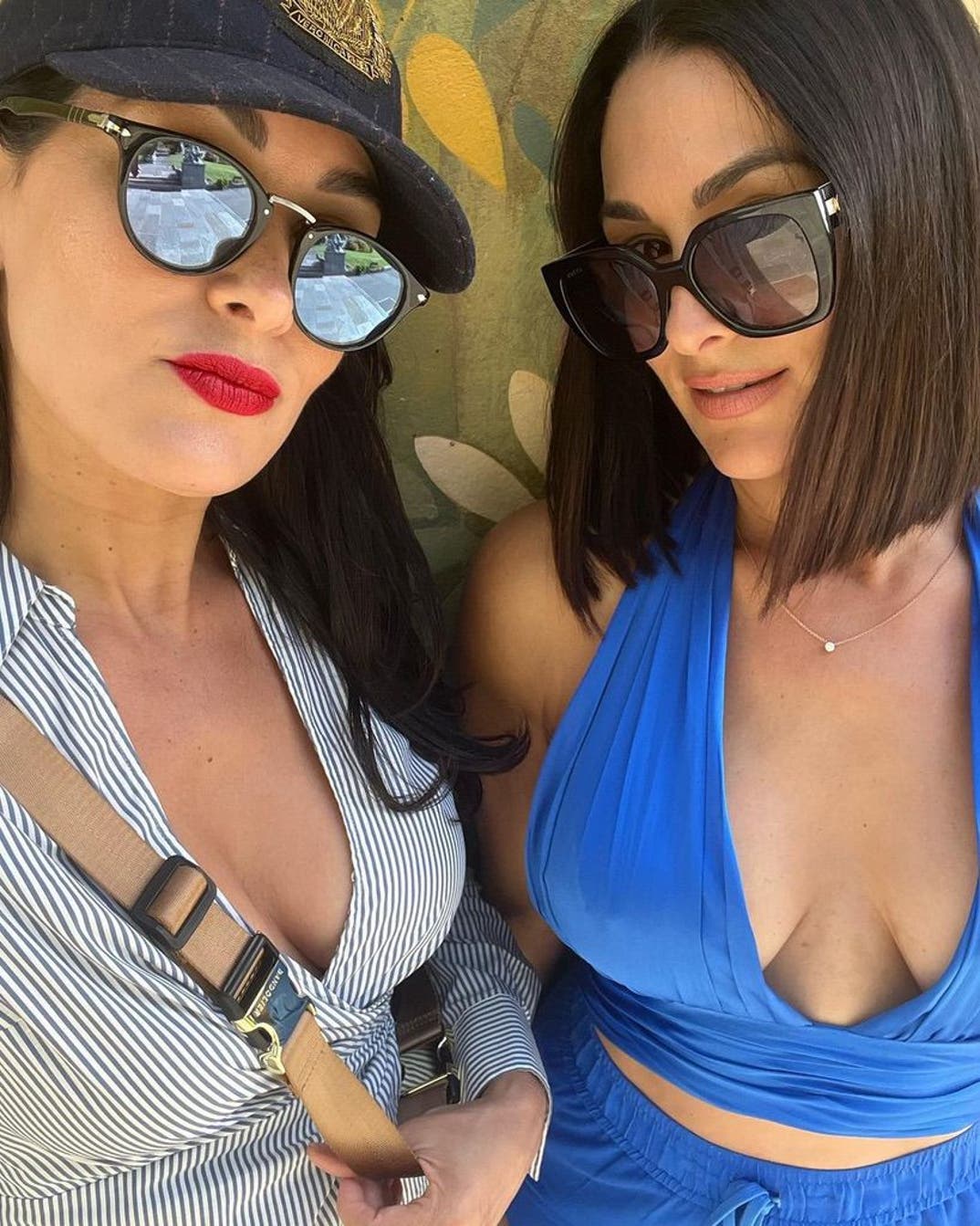 Brie And Nikki Garcia -- Total Hotties