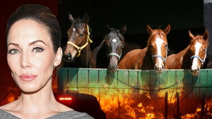 Whitney Cummings horse rescue fire