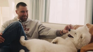 Travis Kelce and Taylor Swift’s dog makes fashion debut tommy hilfiger 3