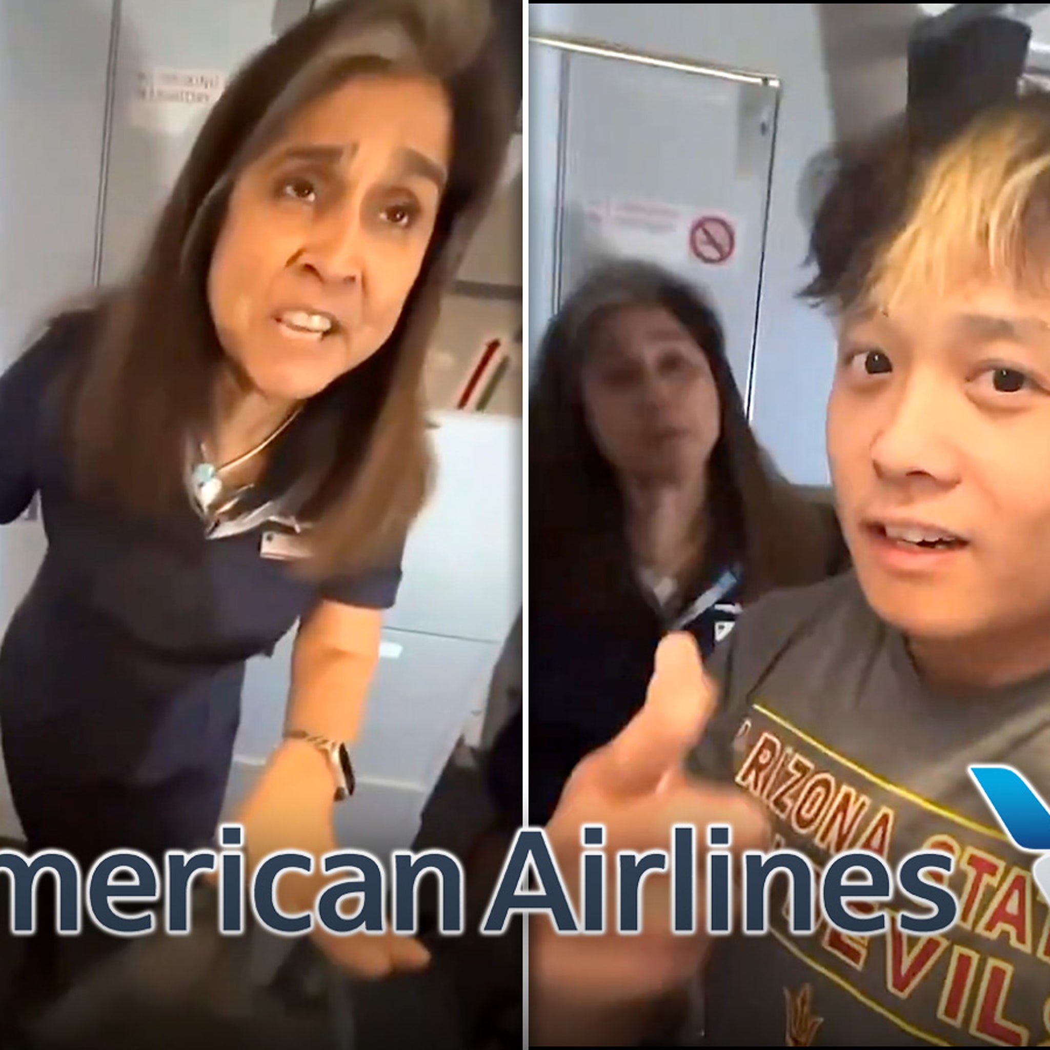American Airlines Passenger Gets Ejected After Vaping Dispute With  Stewardess on Video