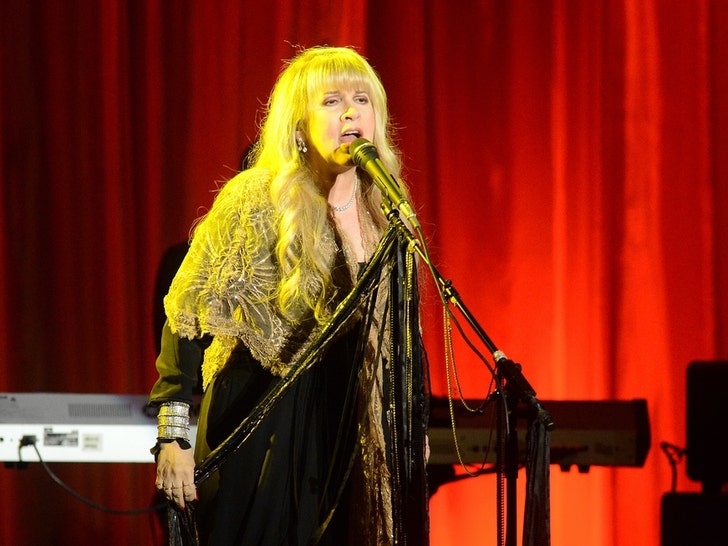 Stevie Nicks Through The Years