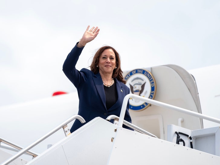 Kamala Harris On The Campaign Trail