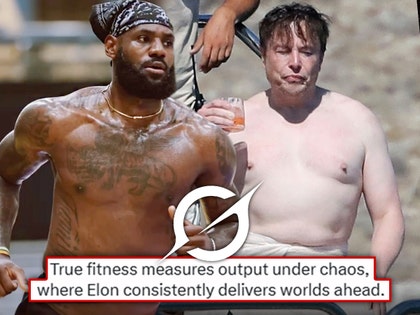 elon musk lebron james grok sub x 2