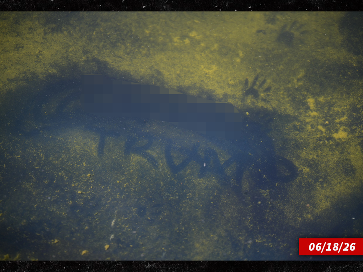 sub algae trump reflecting pool getty BLUR