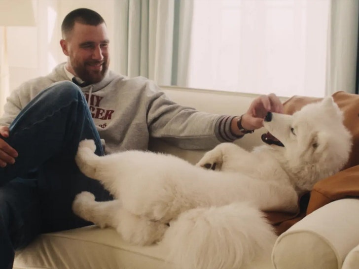 Travis Kelce and Taylor Swift’s dog makes fashion debut tommy hilfiger 3