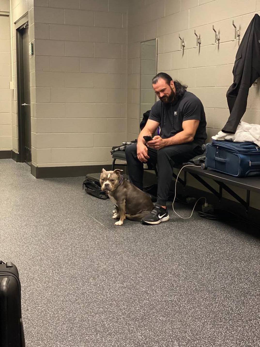 Sheamus Dog Betty 18