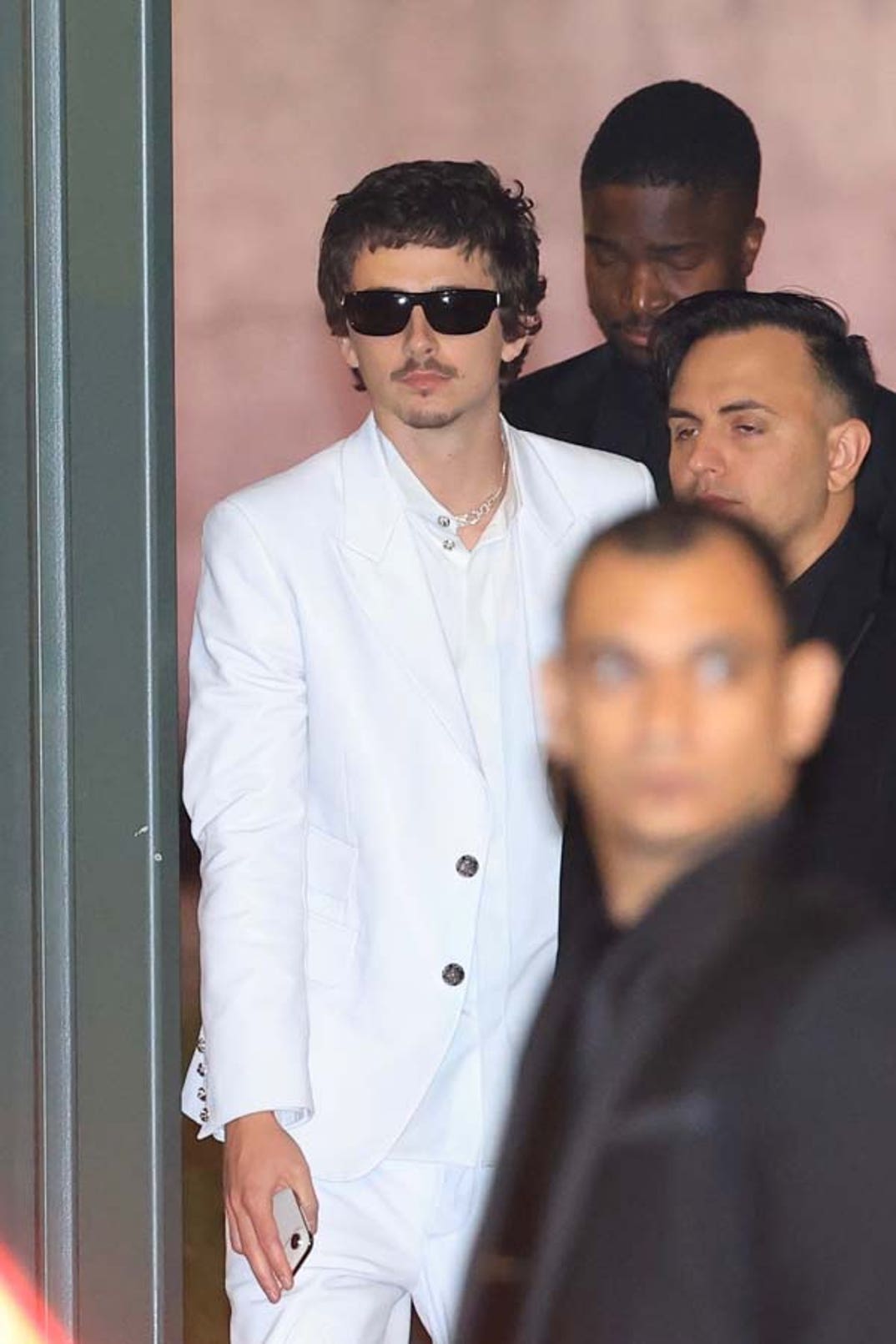 Timothee Chalamet