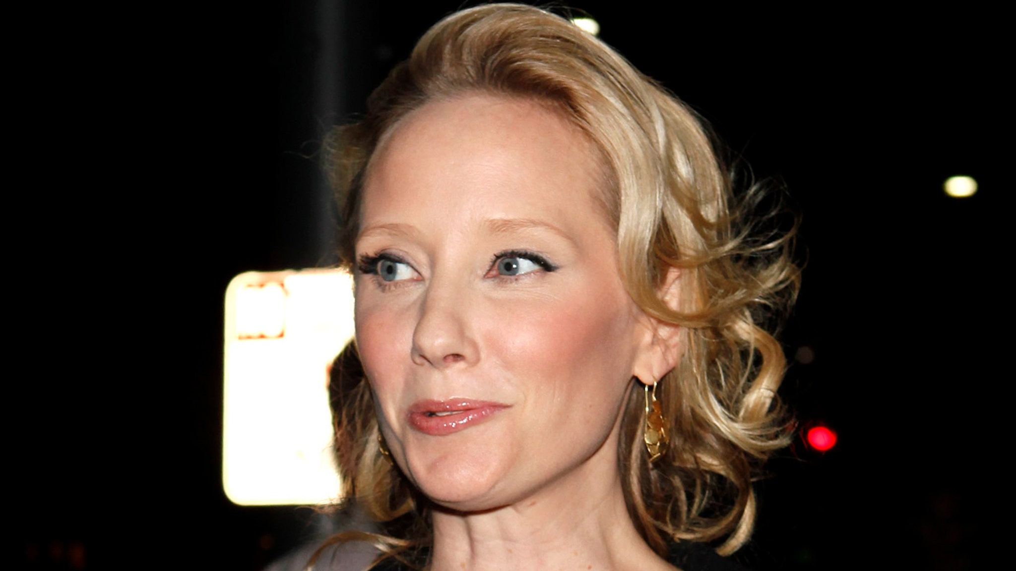 Anne Heche Estate Sued by Woman Whose Home Was Destroyed in Car Crash