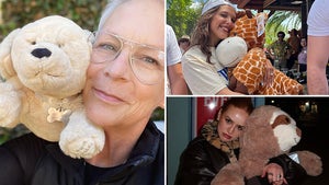 1027-Stars-And-Stuffed-Animals-hero