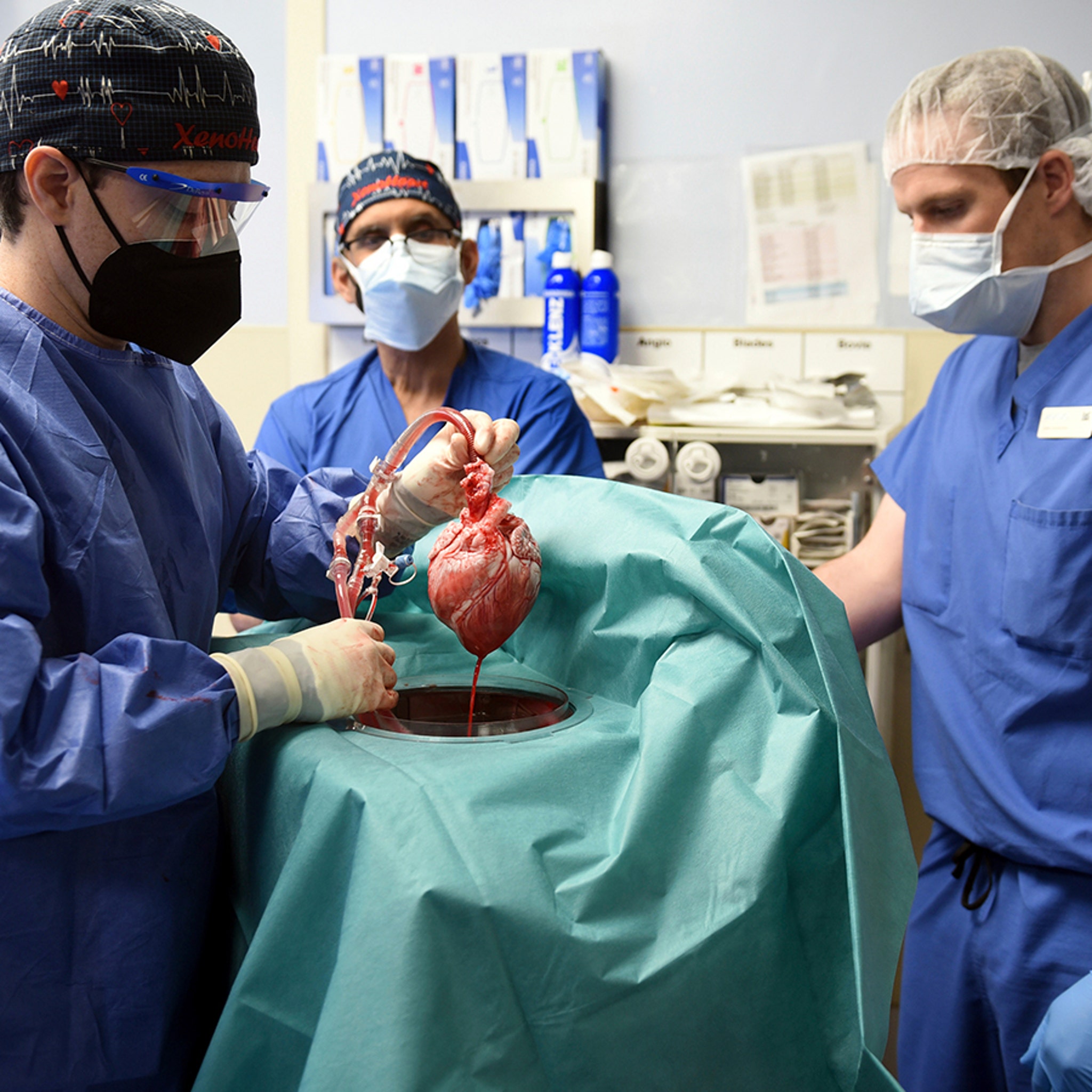 Surgeons Transplant Pig Heart Into Human Patient