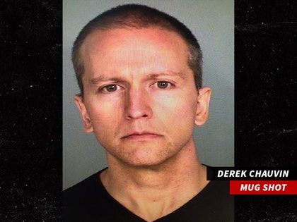 0529-Derek Chauvin-mugshot-01