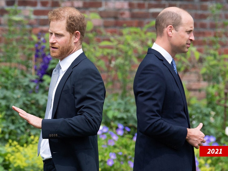 prince harry and price william getty 2
