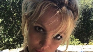 Britney Spears Conservator Jodi Montgomery Acknowledges Concern Over Mental Health