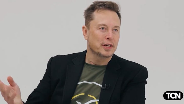 10924_elon_musk-cal