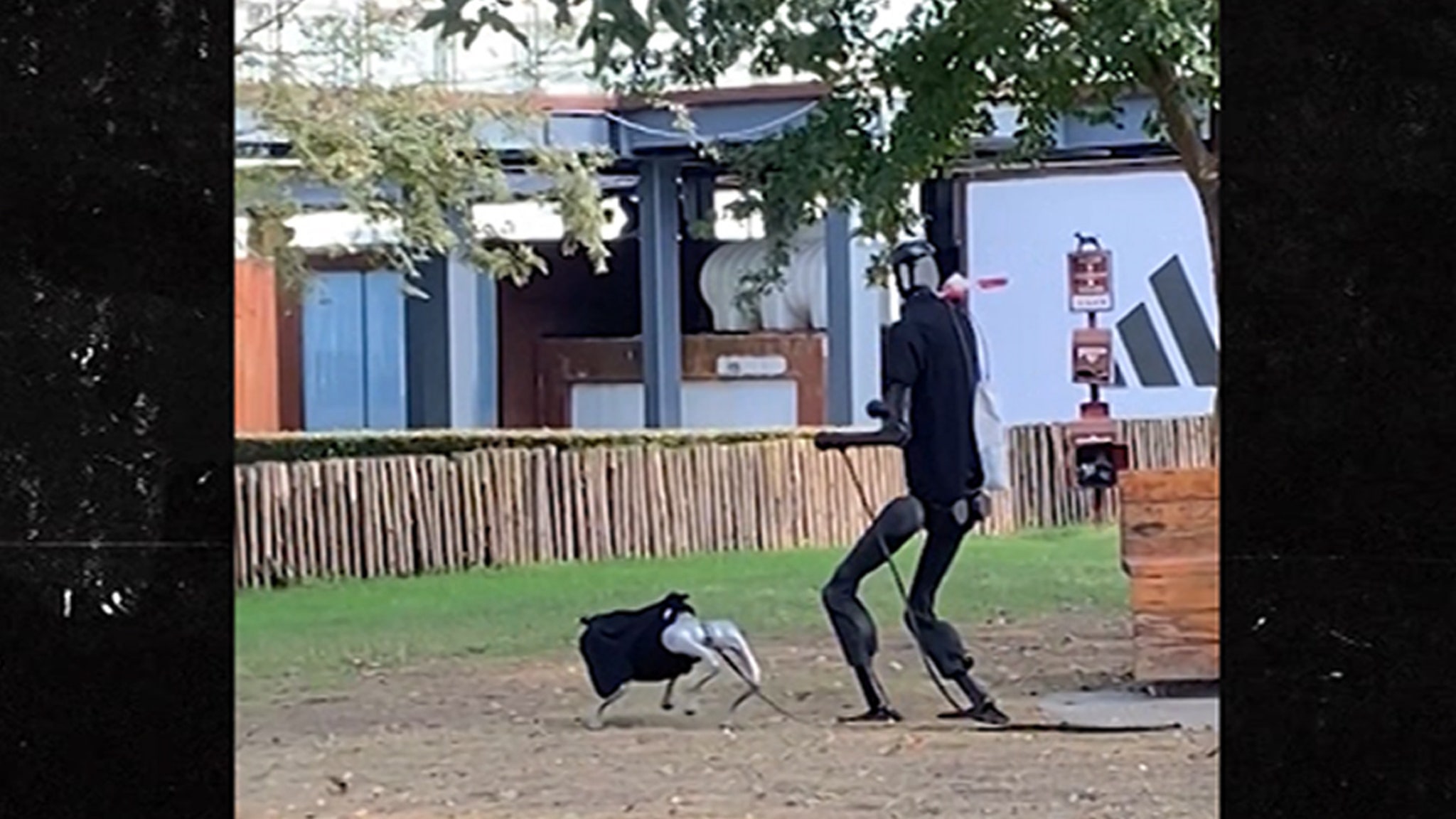 Humanoid Robot Walks Robot Dog in Chinese Park, Video Shows