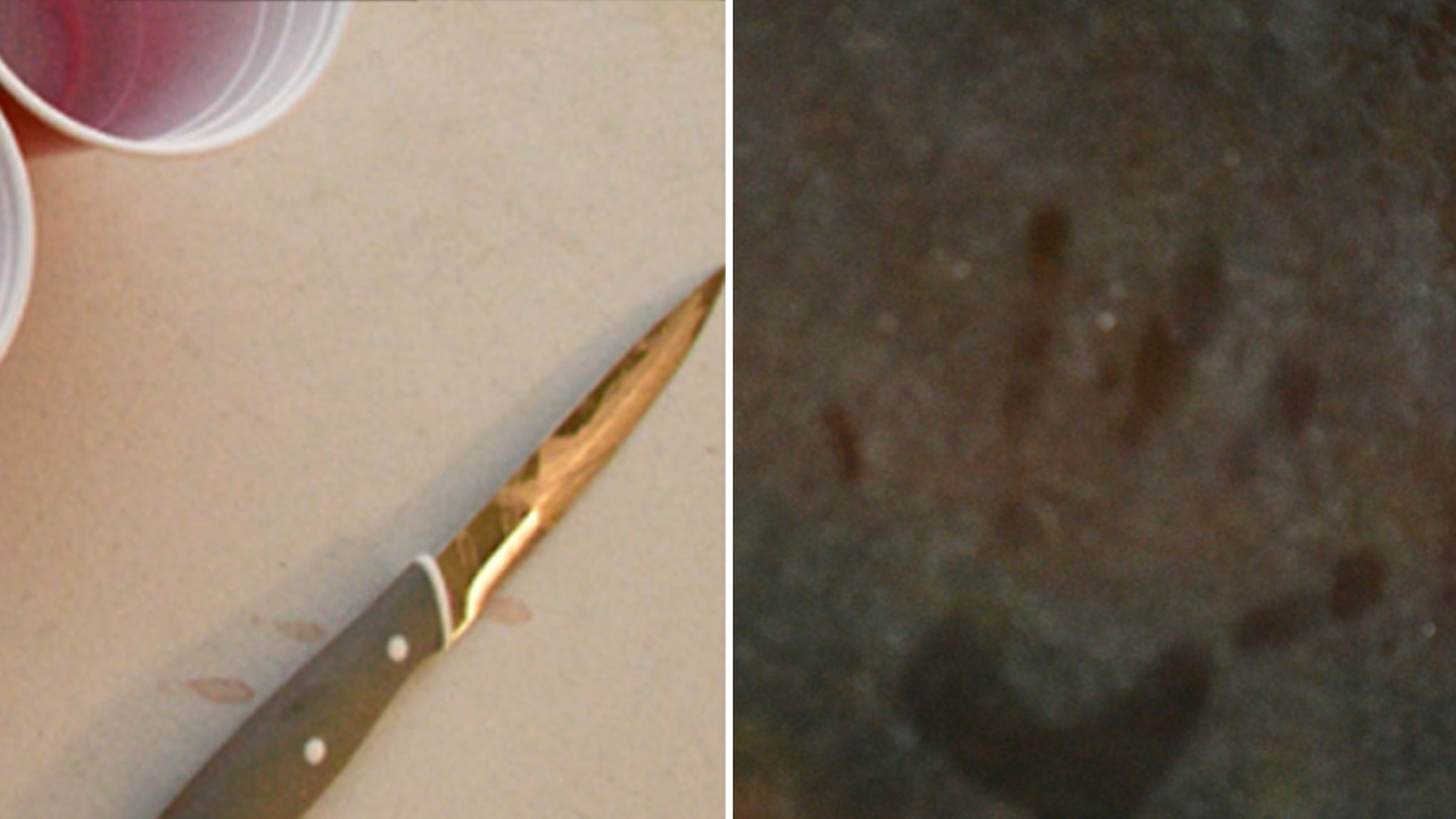 Bryan Kohberger’s Murderous Crime Scene, See The Photos