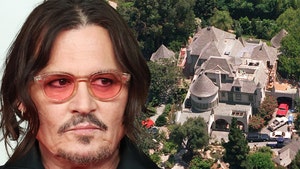 johnny depp castle getty comp