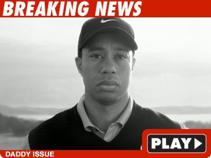 cracks tiger woods 2008 load