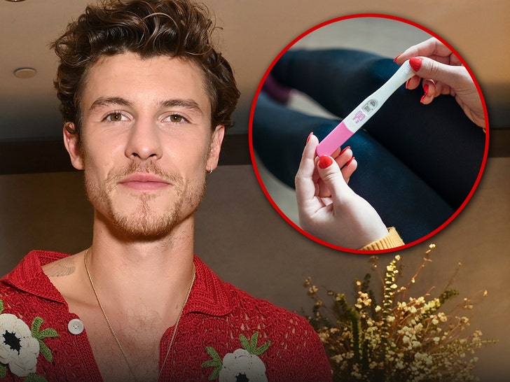 pregnancy test shawn mendes