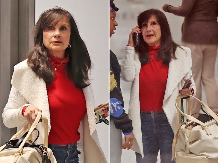 Lynne Spears Arrives at LAX