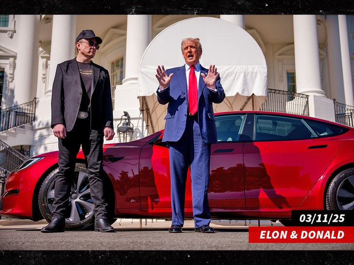 elon musk donald trump tesla sub getty swipe