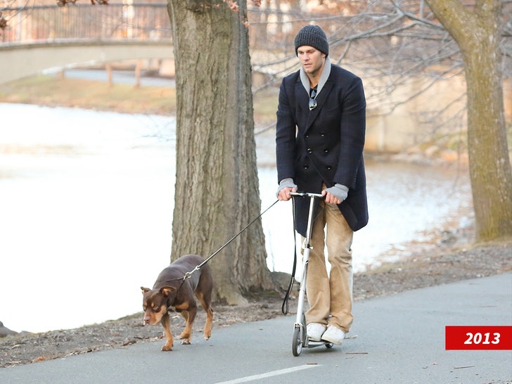 tom brady dog ​​getty sub swipe
