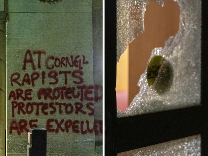 cornell vandalism Varsha Bhargava - The Cornell Daily Sun 4