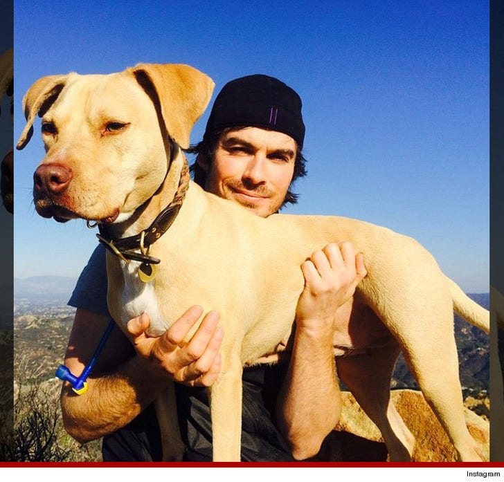 Celebrity Dogs Living Better Than You On National Puppy Day :: 0323-puppy-pic-17