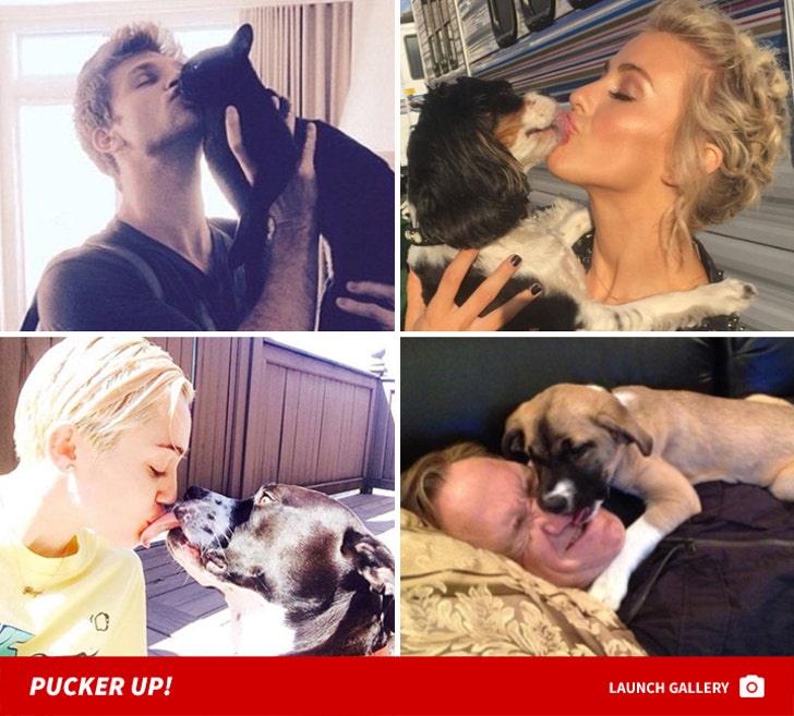 Celebrity Pet PDA -- Pucker Up!