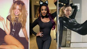 Celebrity Black Cats - Meooow!