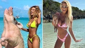 0223-Celebs-With-Pigs-PRIMARY