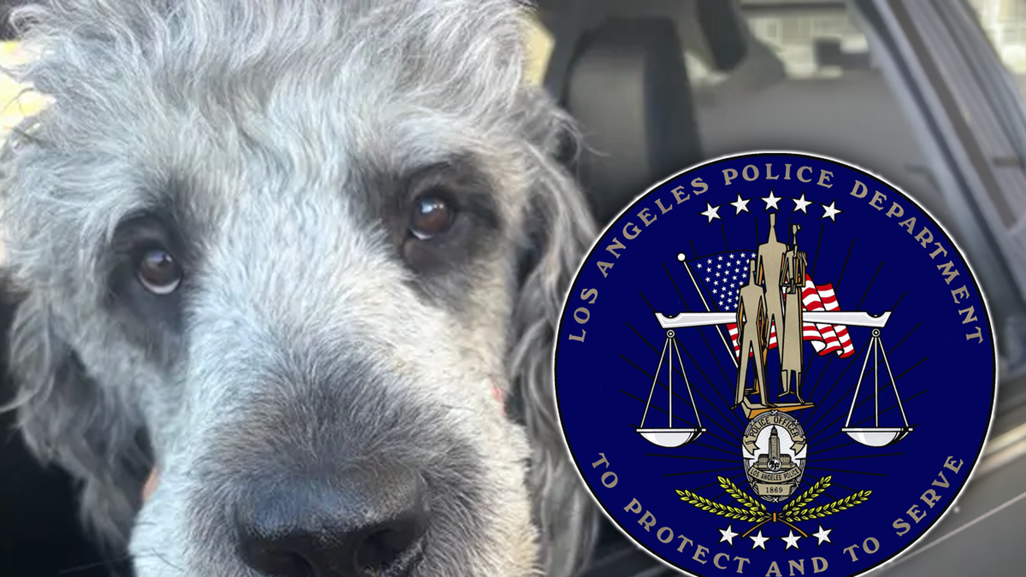 LAPD Chief Promises Full and Comprehensive Review On Fatal Dog Shooting