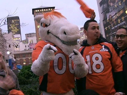 020416_broncos_mascot_p