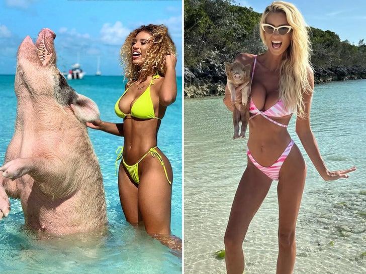 celebridades se alimentando