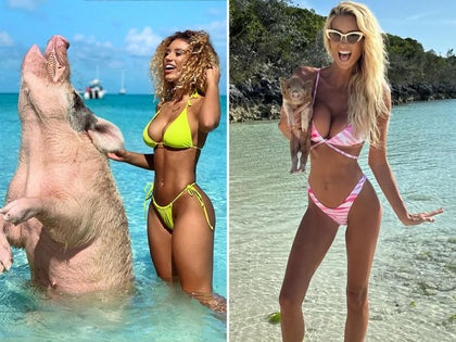 0223-Celebs-With-Pigs-PRIMARY