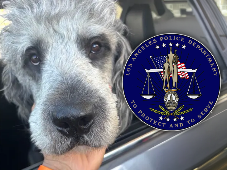 main dog lapd jameson no cred