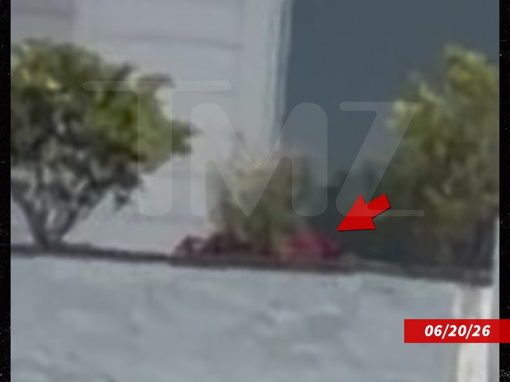 sub-taylor-swift-tmz-1