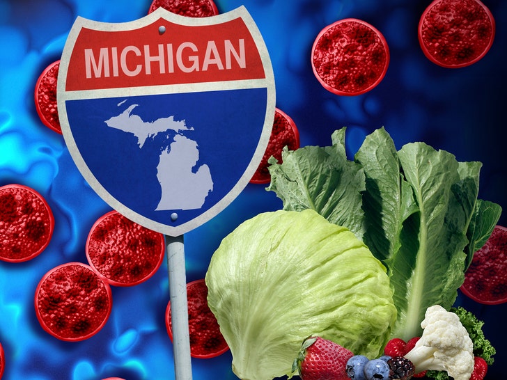 michigan cyclosporiasis istock caomp
