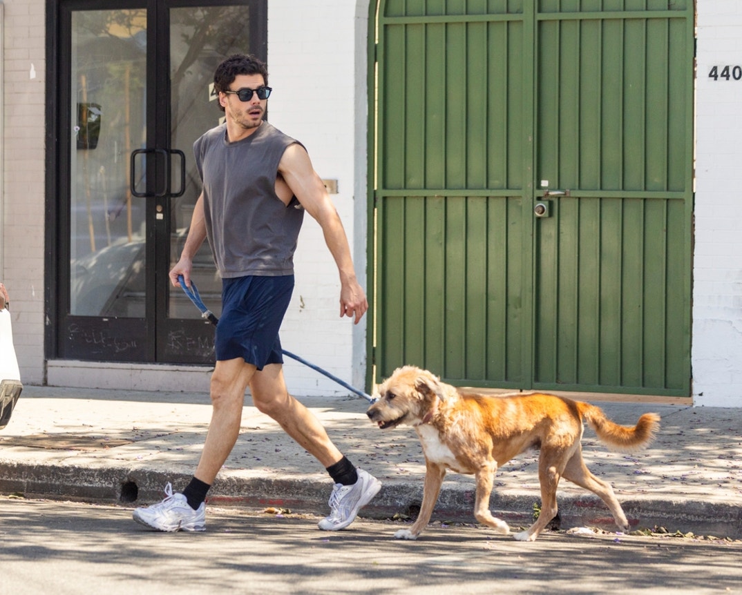 FranCois Arnaud Dog Walk 9