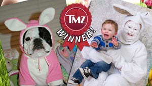 TMZ's Funny Bunny Photo Contest -- WINNERS!