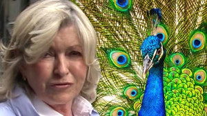 Martha Stewart Uses Marvin Gaye Music to Say Coyotes Killed Her Peacocks