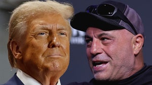 joe rogan donald trump