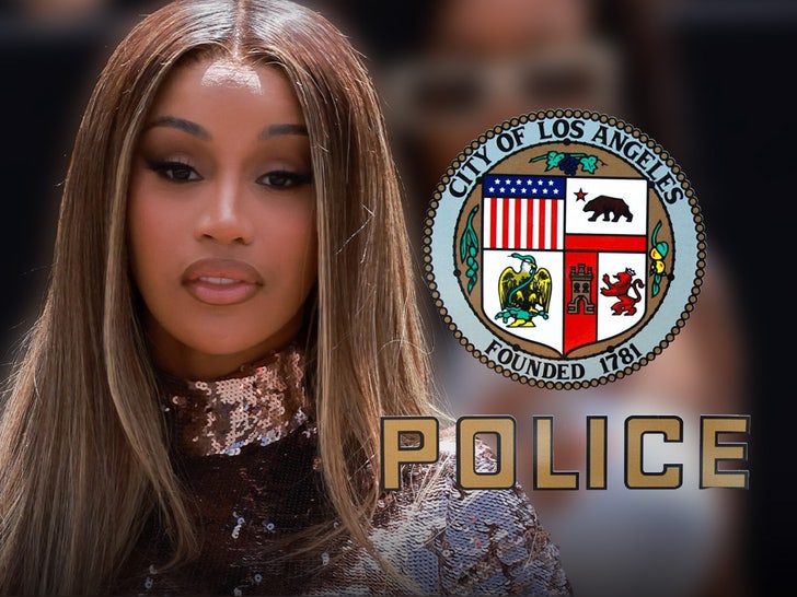 Cardi B's Claim About Wild LAPD Search Not Traceable with Police Sources